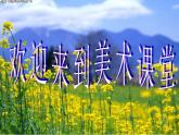 美術(shù)四年級(jí)下湘教版11《花團(tuán)錦簇》課件2