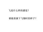 美術(shù)一年級(jí)上人教新課標(biāo)9《我在空中飛》課件7