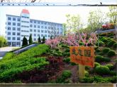 小學(xué)美術(shù)《校園風(fēng)景寫生》課件ppt課件