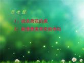 小学美术11.美丽的荷塘-课件ppt课件