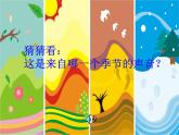 小学美术14-夏日里-课件ppt课件