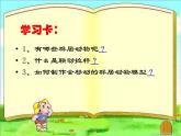 小学美术17.-群居动物模型-课件ppt课件