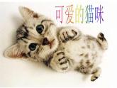 小学美术17-可爱的猫咪-课件-(3)(1)ppt课件