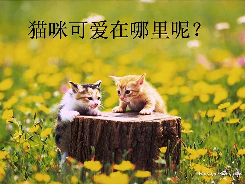 小学美术17-可爱的猫咪-课件-(3)(1)ppt课件第3页