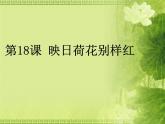 小学美术18-映日荷花别样红-课件ppt课件