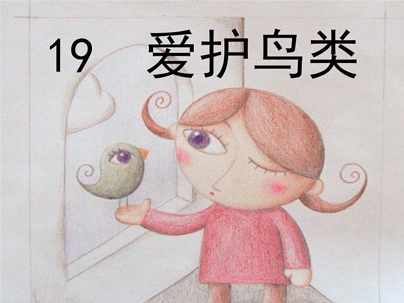 小学美术19-爱护鸟类-课件ppt课件02