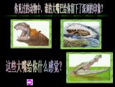 小學(xué)美術(shù)大嘴怪ppt課件