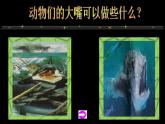 小學(xué)美術(shù)大嘴怪ppt課件