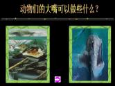 小学美术大嘴怪ppt课件