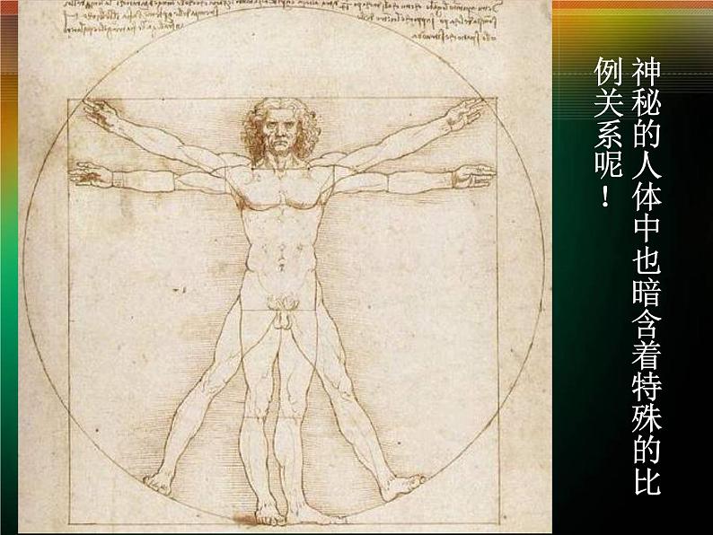 小学美术第6课-美术中的比例-课件-(1)ppt课件07