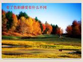 小學(xué)美術(shù)第10課-色彩的色相-課件-(1)ppt課件