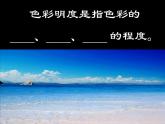 小學(xué)美術(shù)第11課-色彩的明度-課件-(3)ppt課件
