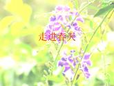 小學(xué)美術(shù)第11課-走進(jìn)春天-課件ppt課件 (1)