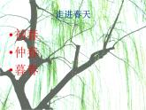小學(xué)美術(shù)第11課-走進(jìn)春天-課件ppt課件 (1)