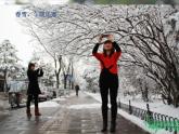 小學(xué)美術(shù)第11課-走進(jìn)春天-課件ppt課件 (1)