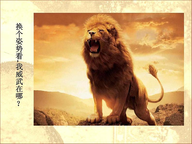 小学美术第11课-大狮子ppt课件第5页