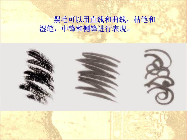 小学美术第11课-大狮子ppt课件第7页