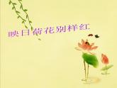 小学美术第18课-映日荷花别样红ppt课件