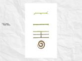 湘美版六年級(jí)下冊(cè)美術(shù)     12 走向明天課件PPT