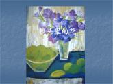 小學(xué)美術(shù)第十一課-鏡頭里的花-課件-(2)ppt課件