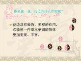小学美术漂亮的花边课件PPT下载3-人教新课标二年级美术下册课件ppt课件