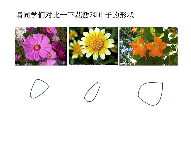 小学美术美丽的花园ppt课件05