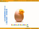 小学美术小鸡找妈妈ppt课件