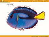 一年級美術(shù)上冊課件(浙美版)：-大魚和小魚-