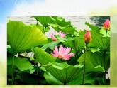 小學(xué)生美術(shù)課件-第1課-色彩的對(duì)比-冀美版-(共10張PPT)ppt課件