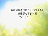 小學(xué)生美術(shù)課件-第1課-色彩的對(duì)比--冀美版-(共24張PPT)ppt課件