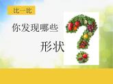 小学生美术课件-第2课-蔬菜苏少版-(共22张PPT)ppt课件