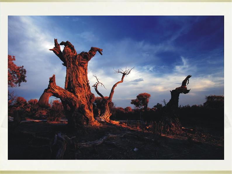 小学生美术课件-第2课-色彩的冷暖--冀美版-(共17张PPT)ppt课件第4页