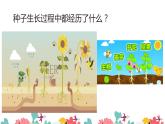 小學(xué)生美術(shù)課件-第2課-長(zhǎng)呀長(zhǎng)--▏人美版-(共11張PPT)ppt課件