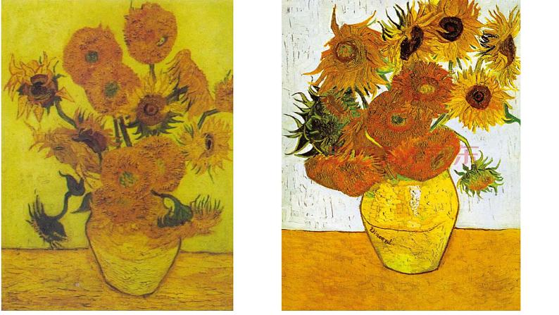 小学 美术赣美版六年级下册10.葵花朵朵 课件07