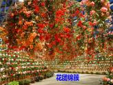 湘美版四年級(jí)美術(shù)下冊(cè)  6 花團(tuán)錦簇課件PPT