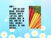 湘美版四年級美術(shù)下冊   5 蔬果的聯(lián)想課件PPT