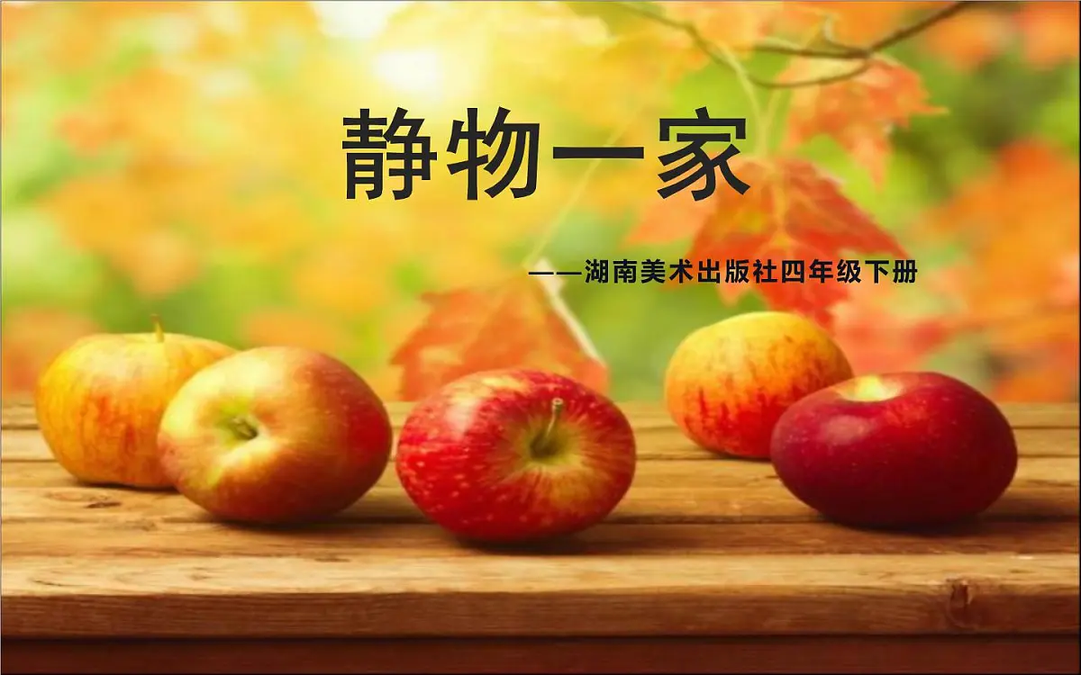 湘美版四年级美术下册 8 静物一家课件PPT第1页