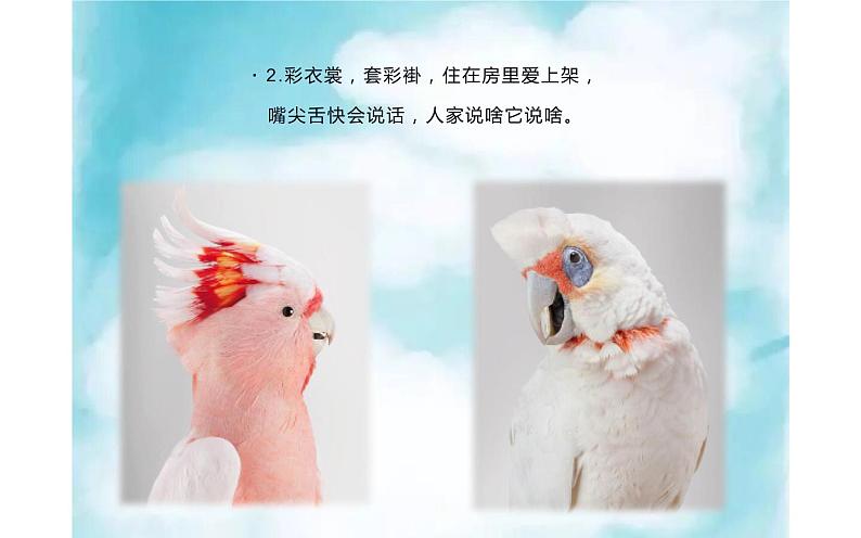 湘美版四年级下册美术   12  色彩取样课件PPT第3页