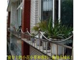 湘美版四年級(jí)美術(shù)下冊(cè)  4 我愛校園課件PPT
