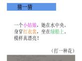 湘美版四年级美术下册   9 妙笔生花课件PPT