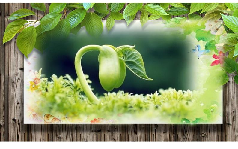 湘美版四年级美术下册   3 春天来了课件PPT第1页