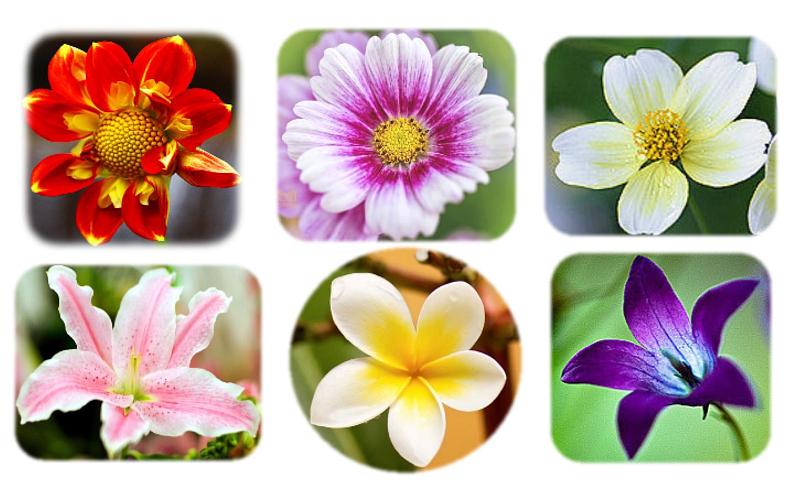 湘美版四年级美术下册   3 春天来了课件PPT第4页