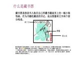湘美版四年級(jí)下冊美術(shù)   13 藏書票的設(shè)計(jì)課件PPT