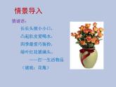 湘美版 六年級(jí)下冊(cè)美術(shù) 第5課：瓶花與水果 課件（23張PPT）