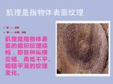 湘美版  六年級(jí)下冊(cè)美術(shù)課件 第10課：巧用肌理  （31張PPT）