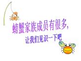 小学美术课件-13课-虾和蟹-苏少版-(18张PPT)ppt课件