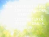 小学生美术课件-第二课--有趣的点彩画-冀美版(共18张PPT)ppt课件