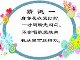 一年級(jí)下冊(cè)美術(shù)課件-第6課昆蟲(chóng)王國(guó)｜嶺南版(共23張PPT)