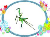 一年級(jí)下冊(cè)美術(shù)課件-第6課昆蟲(chóng)王國(guó)｜嶺南版(共23張PPT)