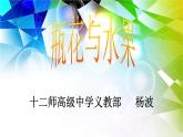 湖南美術(shù)出版社小學(xué)美術(shù)六年級(jí)下冊(cè) .5. 瓶花與水果課件PPT